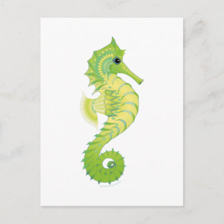 Zee Green Filly Briefkaart