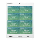 Zee Green Ocean Water Two Adresetiketten Etiket (Full Sheet)