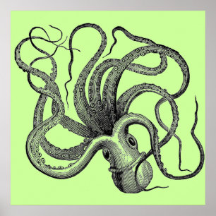 Zee groene octopus poster
