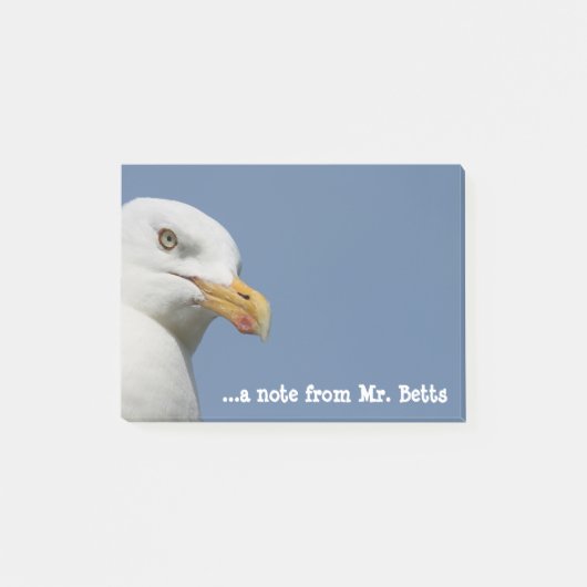 Zee Gull - Gepersonaliseerd Post-it® Notes (Voorkant)