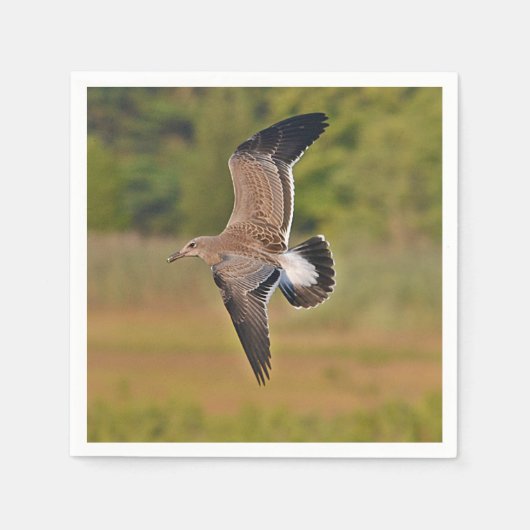 Zee "Gull Paper Napkin" Servet (Voorkant)