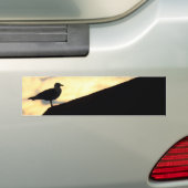 Zee Gull Sunset Bumpersticker (Op auto)