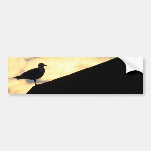 Zee Gull Sunset Bumpersticker (Voorkant)