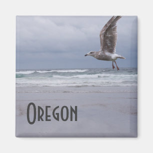 Zee Gypsy Magnet Magneet