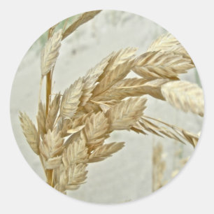 Zee Haver Banken NC Reeksen Ronde Sticker