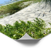 Zee haver bij Ocracoke Poster (Hoek)