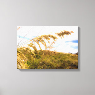 Zee Haver Canvas Afdruk
