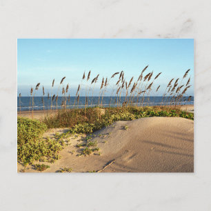 Zee haver en duinen briefkaart