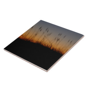 Zee haver en duinen op Sunset Tegeltje