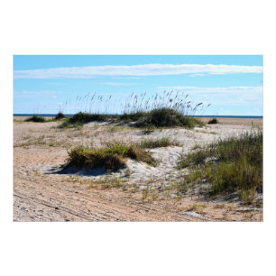 Zee Haver op het strand van de oceaan Foto Afdruk