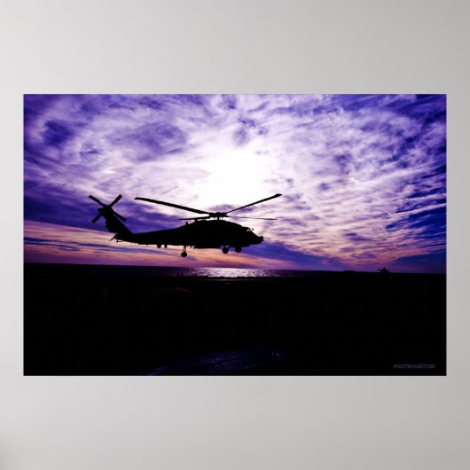 Zee Hawk Landing op Sunset Poster (Voorkant)