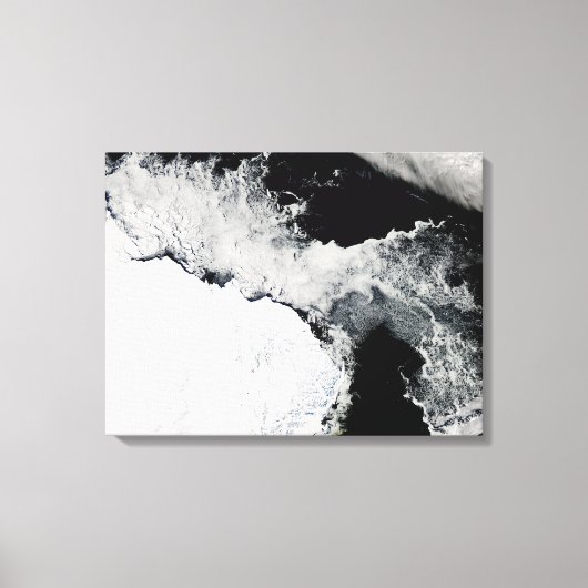 Zee-ijs in de Zuidelijke Oceaan Canvas Afdruk (Voorkant)