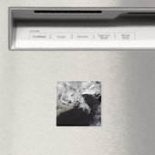 Zee ijs vult de Golf van St. Lawrence Magneet (Insitu (Vaatwasser))