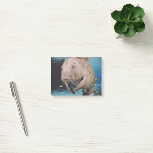 Zee koeienzwemmen post-it® notes (Kantoor)