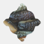 Zee Komkommer ... Yaowarat Market Food Bedankdoosjes (Uitgevouwen)