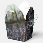 Zee Komkommer ... Yaowarat Market Food Bedankdoosjes (Geopend)