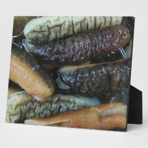 Zee Komkommer ... Yaowarat Market Food Fotoplaat