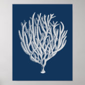 Zee Koraal 1 strand-decorkunst Poster (Voorkant)
