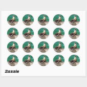 Zee Leeuw Stickers (Vel)