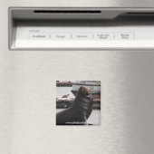 zee leeuw zeilen handvol magneet (Insitu (Vaatwasser))