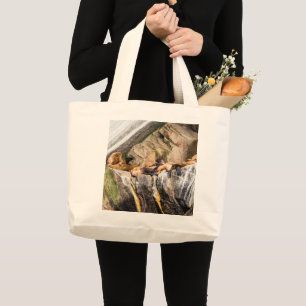 Zee leeuwen die op de grote Canvas tas van de rots