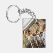 Zee leeuwen die op de rotsen liggen sleutelhanger (Voorkant Links)