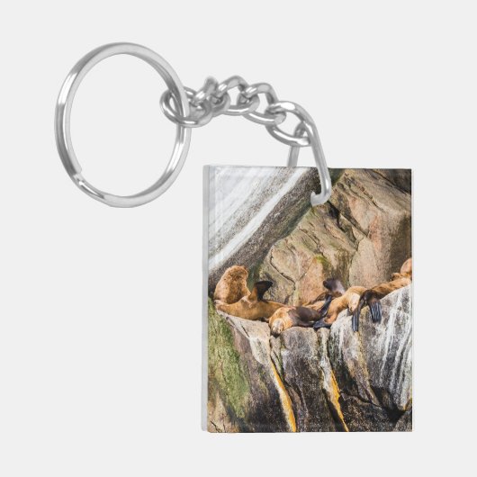 Zee leeuwen die op de rotsen liggen sleutelhanger (Voorkant Links)