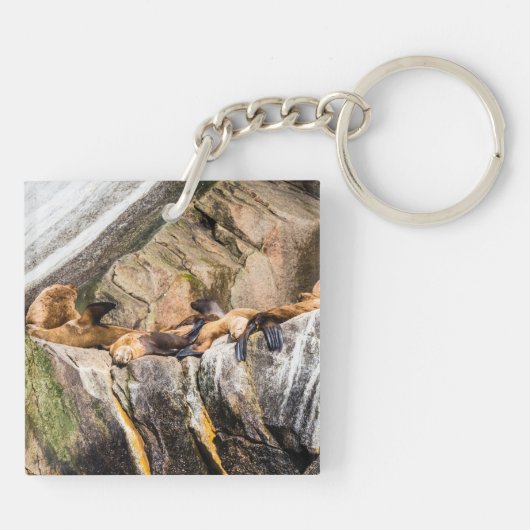 Zee leeuwen die op de rotsen liggen sleutelhanger (Achterkant)