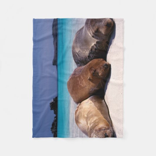 Zee leeuwen die op strand slapen | Ecuador Fleece Deken (Voorkant)