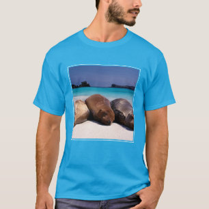 Zee leeuwen die op strand slapen   Ecuador T-shirt