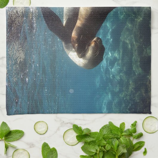 Zee leeuwen Galapagos Theedoek (Gevouwen)