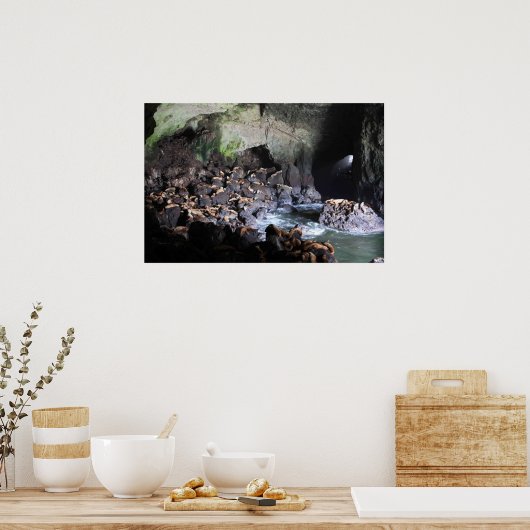 Zee-leeuwen in grotafdrukken poster (Keuken)