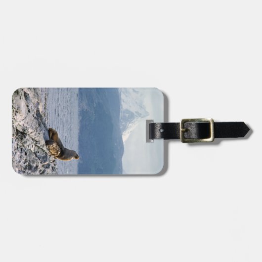 Zee leeuwen in het beagle kanaal - Argentinië Bagagelabel (Voorkant horizontaal)