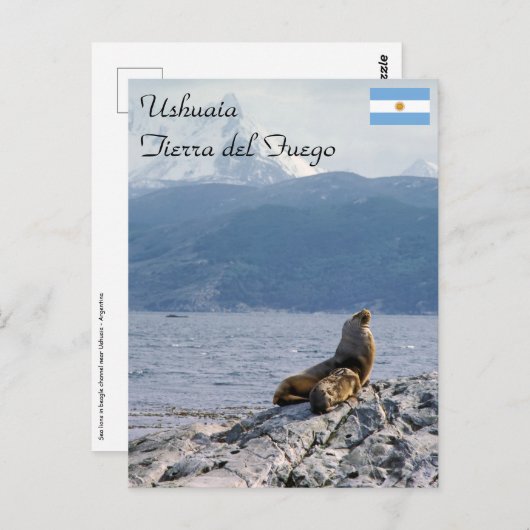 Zee leeuwen in het beagle kanaal - Argentinië Briefkaart (Voorkant / Achterkant)