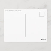 Zee leeuwen in het beagle kanaal - Argentinië Briefkaart (Achterkant)