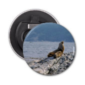 Zee leeuwen in het beagle kanaal - Argentinië Button Flesopener (Voorkant)