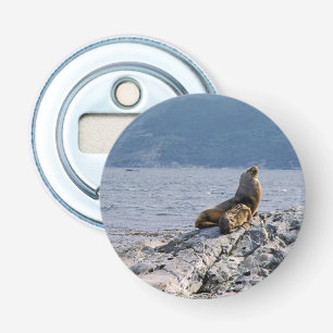 Zee leeuwen in het beagle kanaal - Argentinië Button Flesopener