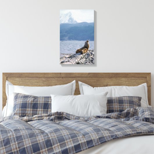 Zee leeuwen in het beagle kanaal - Argentinië Canvas Afdruk (Insitu (Slaapkamer))