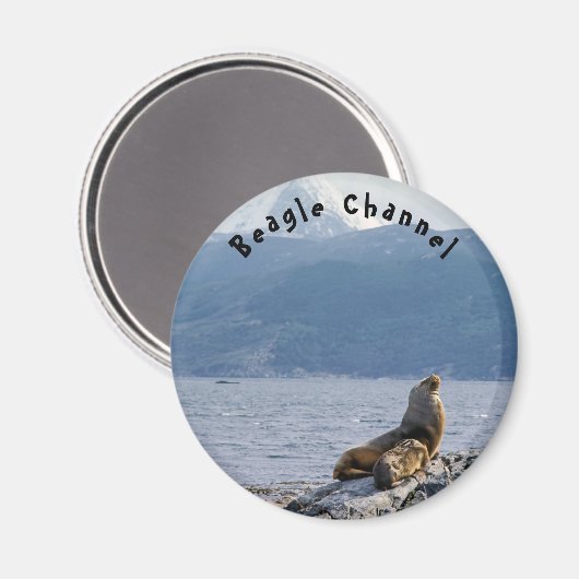 Zee leeuwen in het beagle kanaal - Argentinië Magneet (Voorkant / Achterkant)