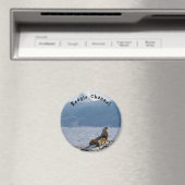 Zee leeuwen in het beagle kanaal - Argentinië Magneet (Insitu (Vaatwasser))