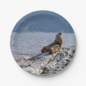 Zee leeuwen in het beagle kanaal - Argentinië Papieren Bordje (Voorkant)