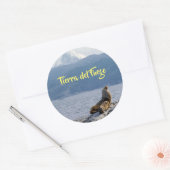 Zee leeuwen in het beagle kanaal - Argentinië Ronde Sticker (Envelop)