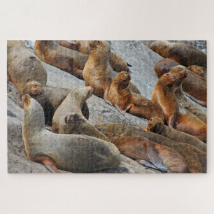 Zee leeuwen in Patagonië, Chili Legpuzzel