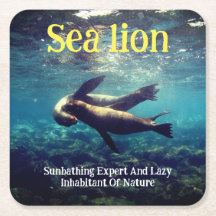 Zee leeuwen onder water