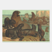 Zee leeuwen op strand, zeedier Inpakpapier Vel (Voorkant 2)