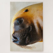 Zee leeuwen van onze zeeen legpuzzel (Verticaal)