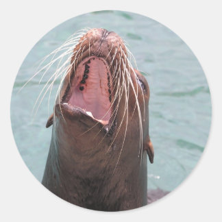 Zee Leeuwenmond Open Sticker