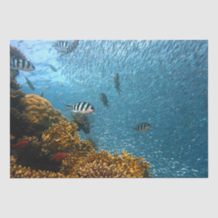 zee leven tissuepapier