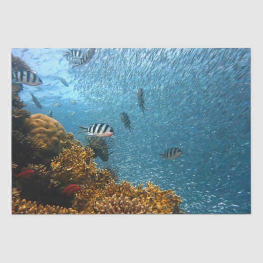 zee leven tissuepapier (Voorkant)