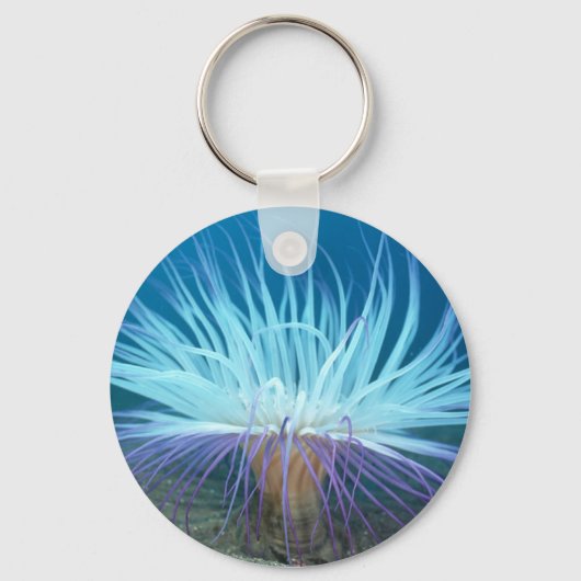 Zee Levensduur Zee Anemone Sleutelhanger (Voorkant)